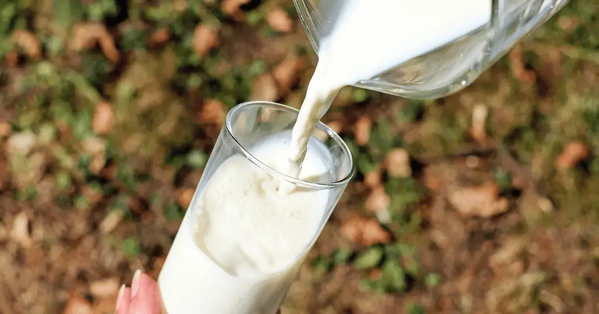 milk pouring into a cup