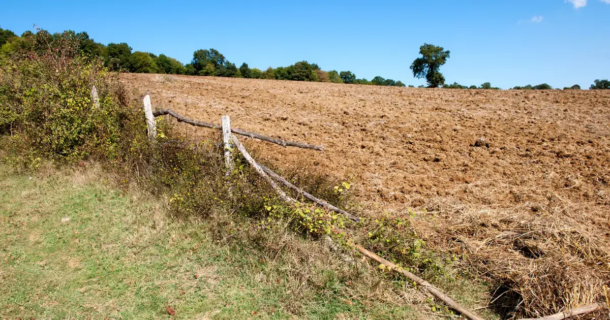 Unsustainable farming practices