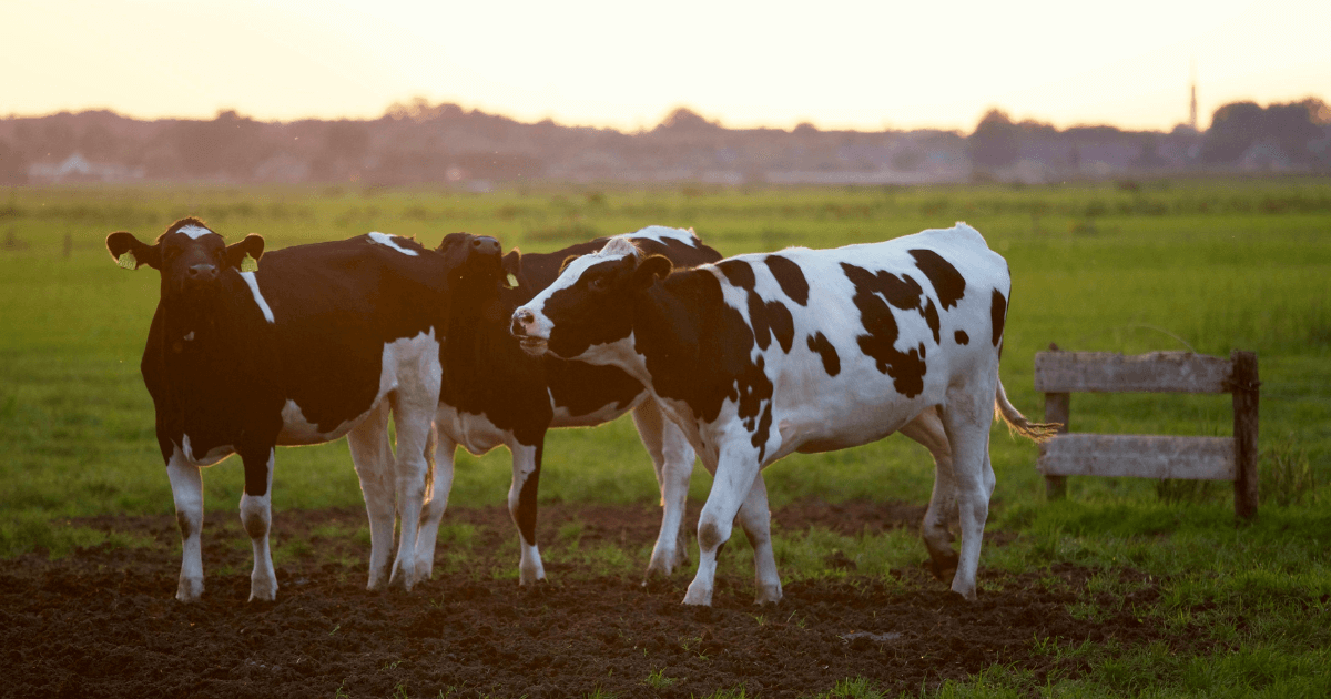 farm-to-fork